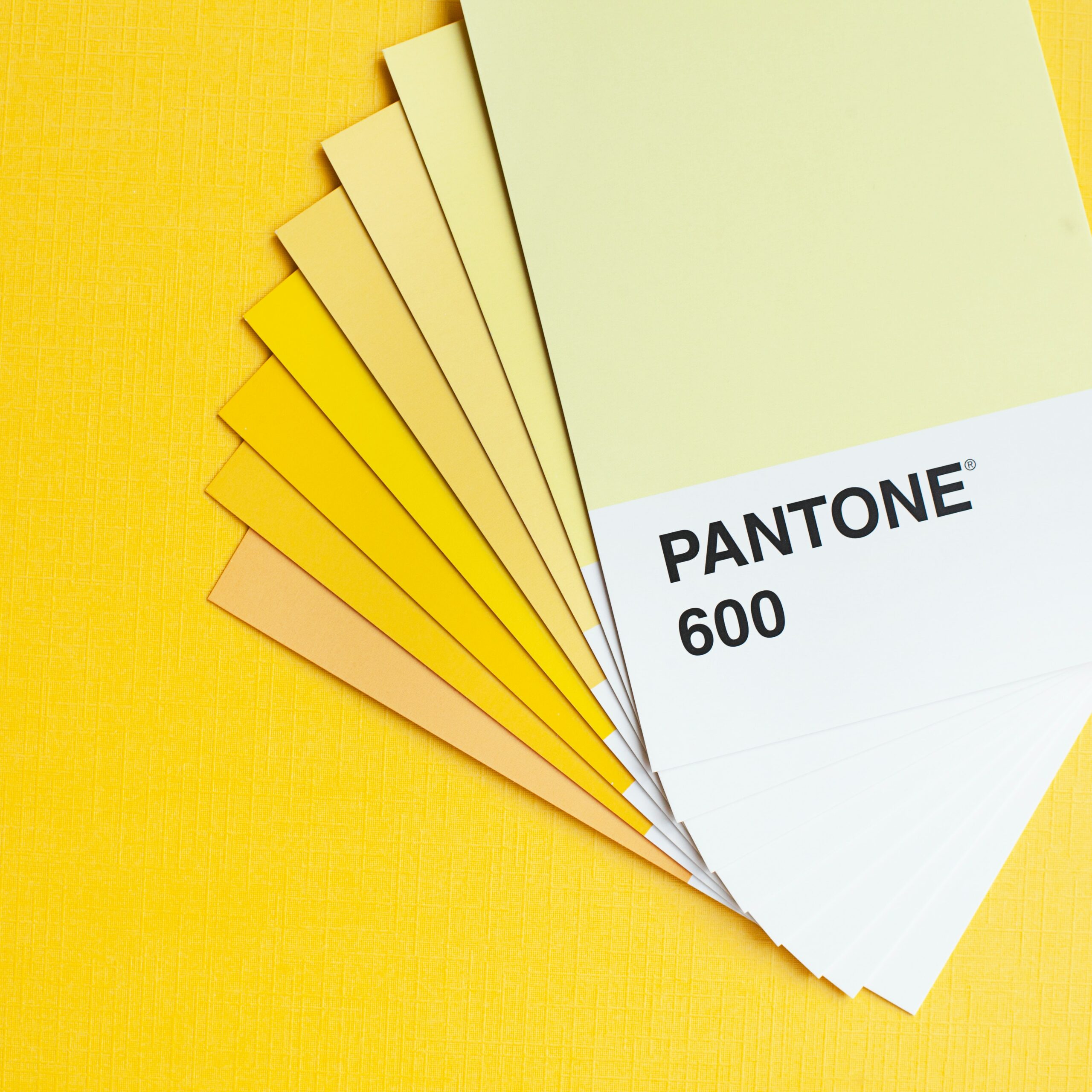 Por qué tener un manual de identidad y qué debe incluir este